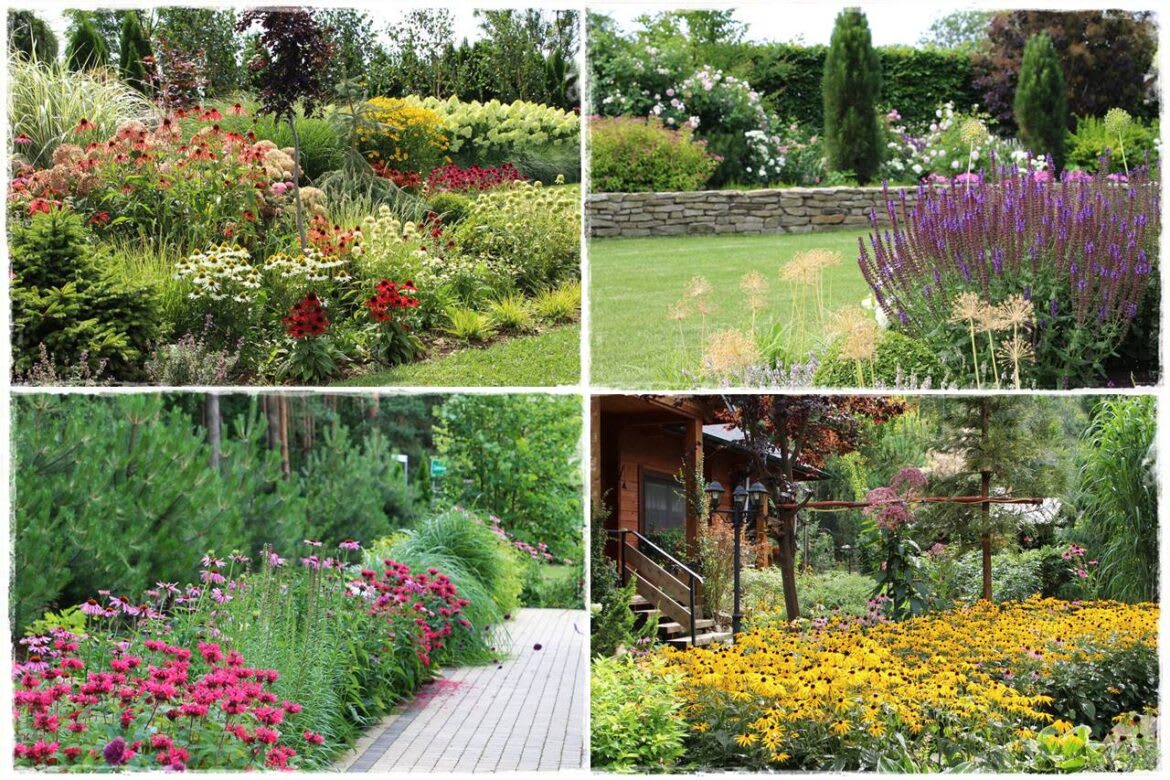 Perennial flower beds showcasing harmonious color combinations and diverse plant arrangements for garden inspiration